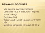 Powerpoint esitlus banaanidest #4