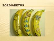 Powerpoint esitlus banaanidest #6