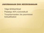 Powerpoint esitlus banaanidest #8