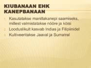 Powerpoint esitlus banaanidest #9