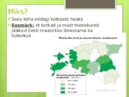 KOTKAKLUBI #3