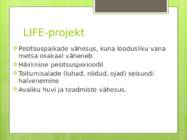 KOTKAKLUBI #7