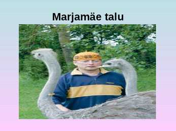 Turism põlvamaal #14