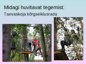 Turism põlvamaal #6