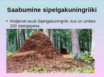 Turism põlvamaal #8