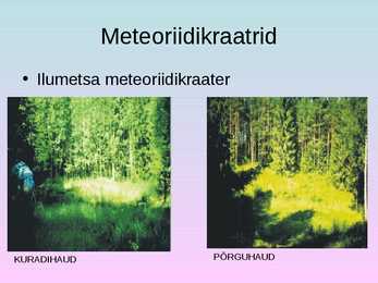 Turism põlvamaal #10