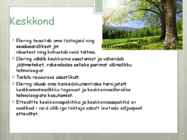 Elering #6