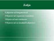 Uimastid #4