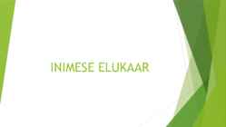 INIMESE ELUKAAR