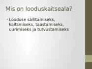 Tallinnas olevate looduskaitsealade kaardistamine #3