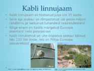 Liivi lahe rannikumadalik #18
