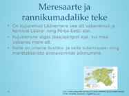 Liivi lahe rannikumadalik #4
