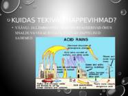 Happevihmad #3