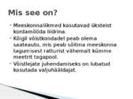 Meeskonnasõit #2
