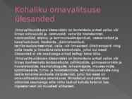 Maakonnad ja omavalitsused #15