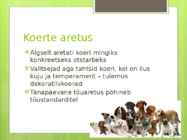 Koerte aretus läbi aja #6