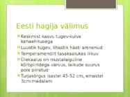 Koerte aretus läbi aja #10