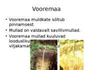 -Vooremaa- #24