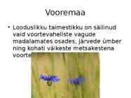 -Vooremaa- #25