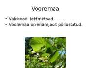 -Vooremaa- #26