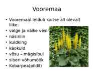 -Vooremaa- #27