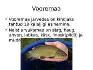 -Vooremaa- #29