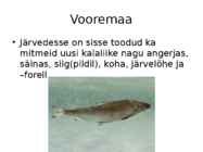 -Vooremaa- #30