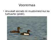 -Vooremaa- #32