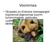 -Vooremaa- #36