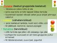 Tasakaalustatud toitumine #8