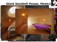 10 Of the Most Unusual Homes in the World #11