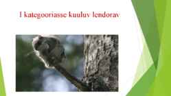 Liigikaitse liigid #8