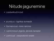 Niit #4