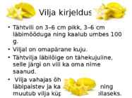 Tähtvili #2