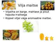 Tähtvili #3