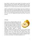Õpimapp-Eksootilised viljad #7