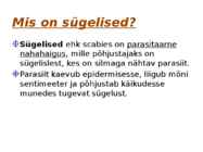Sügelised #2