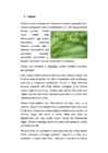 Õpimapp-Mikroorganismid #8