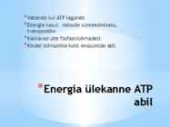 Energia vahendamine organismis #4