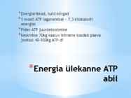 Energia vahendamine organismis #5