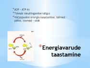 Energia vahendamine organismis #6