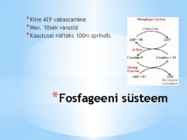 Energia vahendamine organismis #8