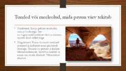 PRUUN VÄRV #2