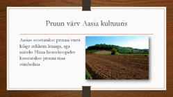 PRUUN VÄRV #6