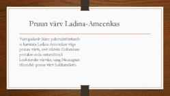 PRUUN VÄRV #7