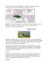 UKRAINA #3