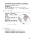 Silinder siirdepinnana-silindrilised projektsioonid #10