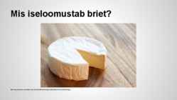 Esitlus brie juustust #6