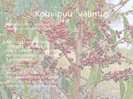 Kohvipuu #2