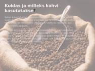 Kohvipuu #5